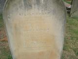 image of grave number 32346